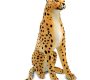 giant-cheetah-stuffed-toy