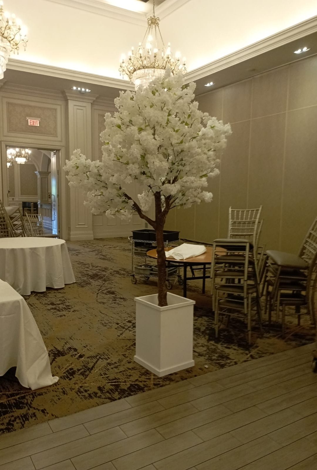 Photo booth company in Vaughan