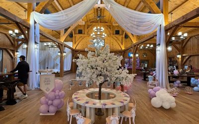 Photo Booth Company in Muskoka