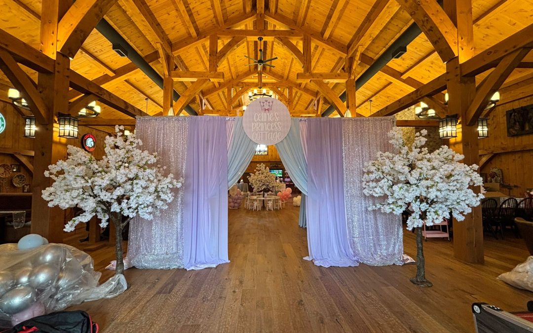 Photo Booth Company in Port Perry