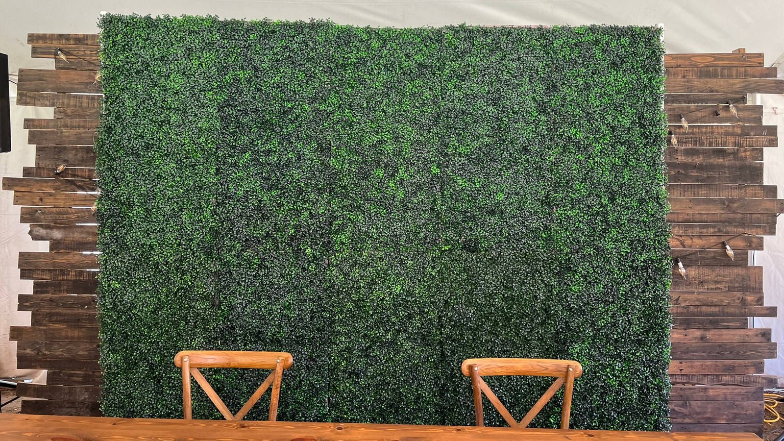 A green boxwood wall standing against a dark timber slat wall hung with bulb lights, with two wooden cross back chairs and a long wooden table in front of it